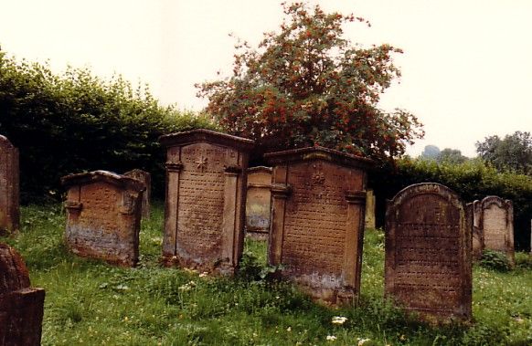 Jüdischer Friedhof in Stein am Kocher (Stadt Neuenstadt, Kreis Heilbronn)